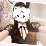 ヒメ日記 2026/04/25 01:09 投稿 かなの【驚愕の美女に首ったけ】 STELLA TOKYO－ステラトウキョウ－