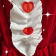 ヒメ日記 2024/12/14 11:03 投稿 こと CECIL