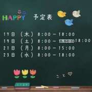 ヒメ日記 2025/04/16 19:40 投稿 こと CECIL