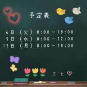 ヒメ日記 2025/05/05 17:49 投稿 こと CECIL