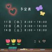 ヒメ日記 2025/06/10 20:36 投稿 こと CECIL