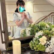 ヒメ日記 2025/07/22 20:46 投稿 こと CECIL