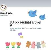 ヒメ日記 2025/10/16 11:01 投稿 こと CECIL