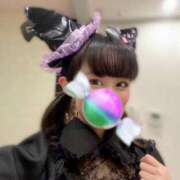 ヒメ日記 2025/10/23 10:58 投稿 こと CECIL