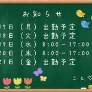 ヒメ日記 2025/11/14 17:22 投稿 こと CECIL