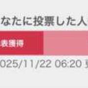 ヒメ日記 2025/11/22 07:45 投稿 こと CECIL