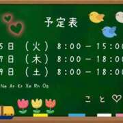 ヒメ日記 2025/11/24 09:54 投稿 こと CECIL