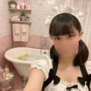 ヒメ日記 2025/11/28 12:45 投稿 こと CECIL