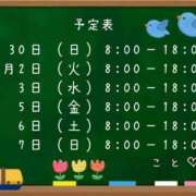 ヒメ日記 2025/11/28 22:09 投稿 こと CECIL