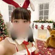 ヒメ日記 2025/12/12 14:02 投稿 こと CECIL