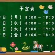 ヒメ日記 2025/12/26 09:00 投稿 こと CECIL