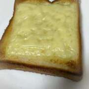 ヒメ日記 2025/12/31 05:44 投稿 こと CECIL