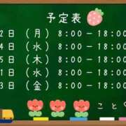 ヒメ日記 2026/03/01 12:49 投稿 こと CECIL