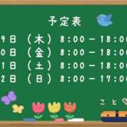 ヒメ日記 2026/03/18 13:40 投稿 こと CECIL