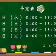 ヒメ日記 2026/04/06 19:22 投稿 こと CECIL
