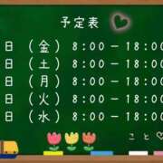 ヒメ日記 2026/04/29 21:46 投稿 こと CECIL