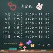 ヒメ日記 2026/05/04 11:52 投稿 こと CECIL
