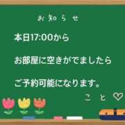 ヒメ日記 2026/09/19 08:03 投稿 こと CECIL