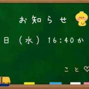 ヒメ日記 2026/09/20 11:31 投稿 こと CECIL