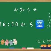 ヒメ日記 2026/09/23 10:45 投稿 こと CECIL