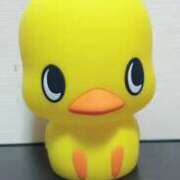 ヒメ日記 2025/04/08 16:11 投稿 はのん 名古屋ちゃんこ