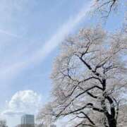 もえ 日曜日ありがとう ミルキーラテ