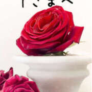 ヒメ日記 2025/11/08 07:55 投稿 あや 奥鉄オクテツ神奈川店（デリヘル市場グループ）