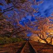 ヒメ日記 2025/04/18 20:03 投稿 るか One More奥様　八王子店