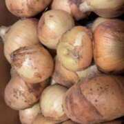 ヒメ日記 2025/05/08 20:09 投稿 るか One More奥様　八王子店