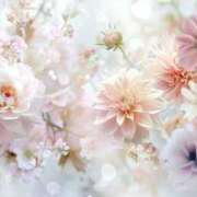 ヒメ日記 2024/12/28 19:56 投稿 原田 熟女の風俗最終章 新横浜店