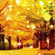 ヒメ日記 2024/12/30 16:56 投稿 原田 熟女の風俗最終章 新横浜店