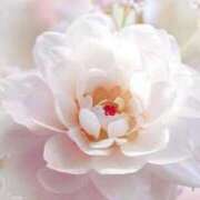 ヒメ日記 2025/01/04 17:46 投稿 原田 熟女の風俗最終章 新横浜店