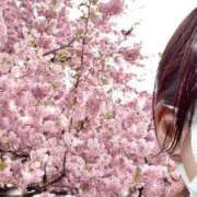 ヒメ日記 2025/03/14 11:28 投稿 さゆり 川越おかあさん