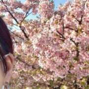 ヒメ日記 2025/03/25 10:38 投稿 さゆり 川越おかあさん