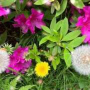 ヒメ日記 2025/04/28 17:58 投稿 さゆり 川越おかあさん