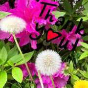 ヒメ日記 2025/05/03 09:48 投稿 さゆり 川越おかあさん