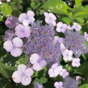 ヒメ日記 2025/06/10 17:08 投稿 さゆり 川越おかあさん