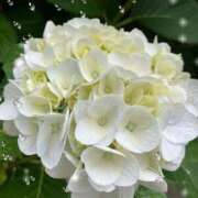 ヒメ日記 2025/06/12 12:33 投稿 さゆり 川越おかあさん