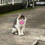 ヒメ日記 2025/06/12 18:18 投稿 さゆり 川越おかあさん