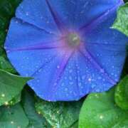 ヒメ日記 2025/07/02 17:58 投稿 さゆり 川越おかあさん