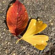 さゆり こんにちは 川越おかあさん