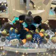 ヒメ日記 2026/02/10 17:58 投稿 さゆり 川越おかあさん