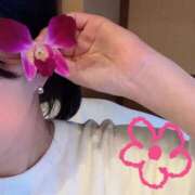 ヒメ日記 2026/02/24 15:28 投稿 さゆり 川越おかあさん