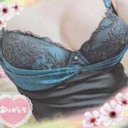 ヒメ日記 2024/12/13 11:32 投稿 真尋(まひろ) 高知デリヘル倶楽部 人妻熟女専門店