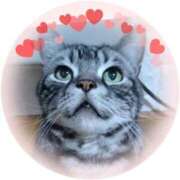 ヒメ日記 2024/12/13 12:19 投稿 真尋(まひろ) 高知デリヘル倶楽部 人妻熟女専門店