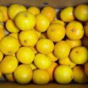 ヒメ日記 2025/07/25 10:46 投稿 真尋(まひろ) 高知デリヘル倶楽部 人妻熟女専門店