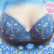 ヒメ日記 2025/07/26 18:04 投稿 真尋(まひろ) 高知デリヘル倶楽部 人妻熟女専門店