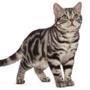 ヒメ日記 2025/11/28 11:25 投稿 真尋(まひろ) 高知デリヘル倶楽部 人妻熟女専門店