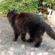 ヒメ日記 2025/02/21 15:56 投稿 さゆり 大宮おかあさん