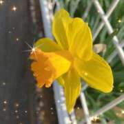 ヒメ日記 2025/03/27 17:31 投稿 さゆり 大宮おかあさん